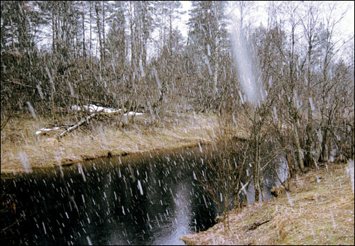 река Шарья, апрельский снег