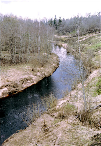 река Шарья у д. Гремячево