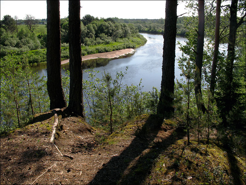 река Паша первая стоянка после Крючково на крутой северной излучине
