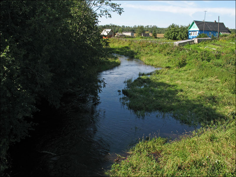 река Лынна в деревне Славково