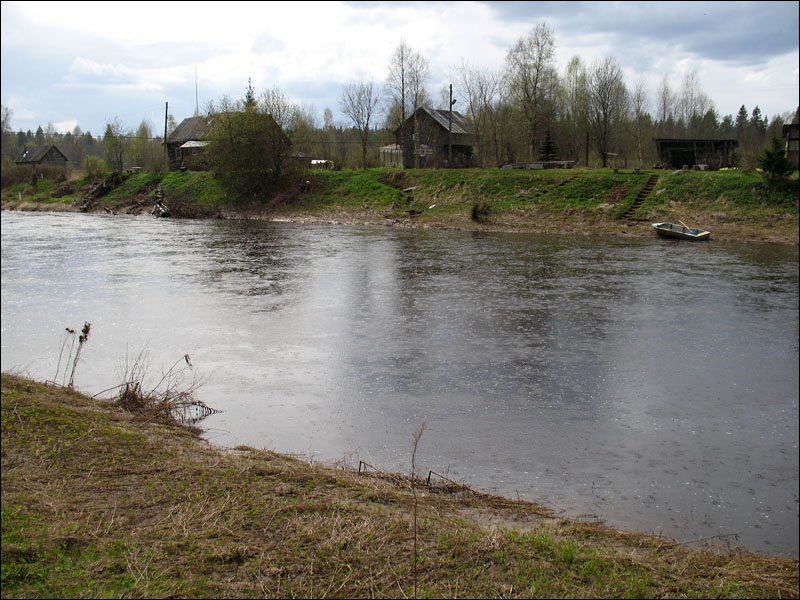 река Паша деревня Поречье