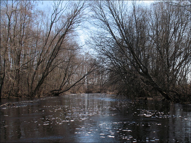 река Оломна