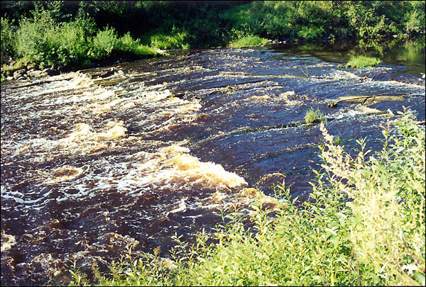 река Пчёвжа бывшая плотина перед деревней Порог