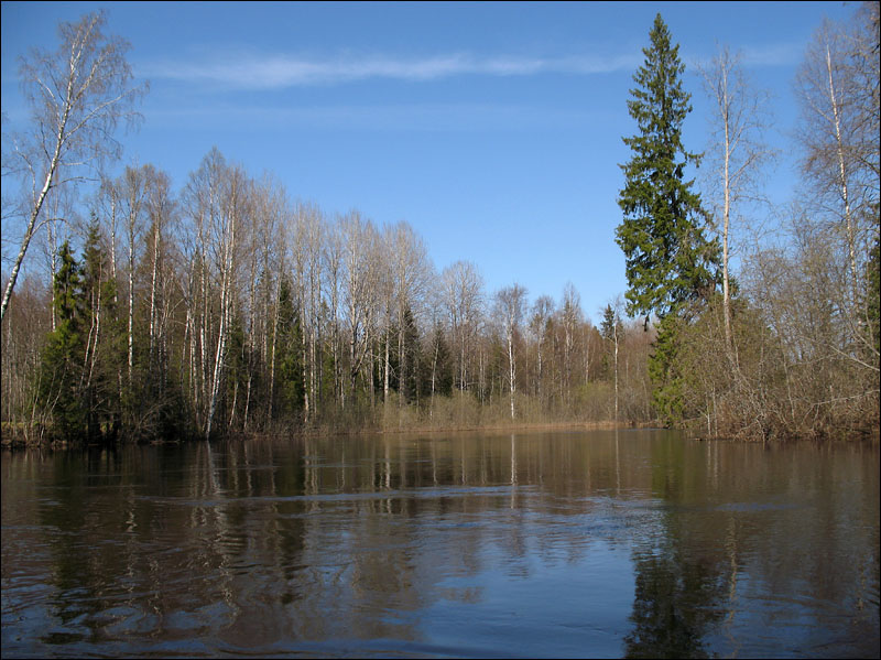 река Паша