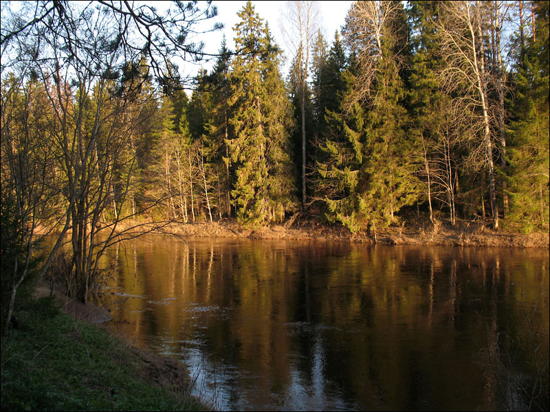 река Паша