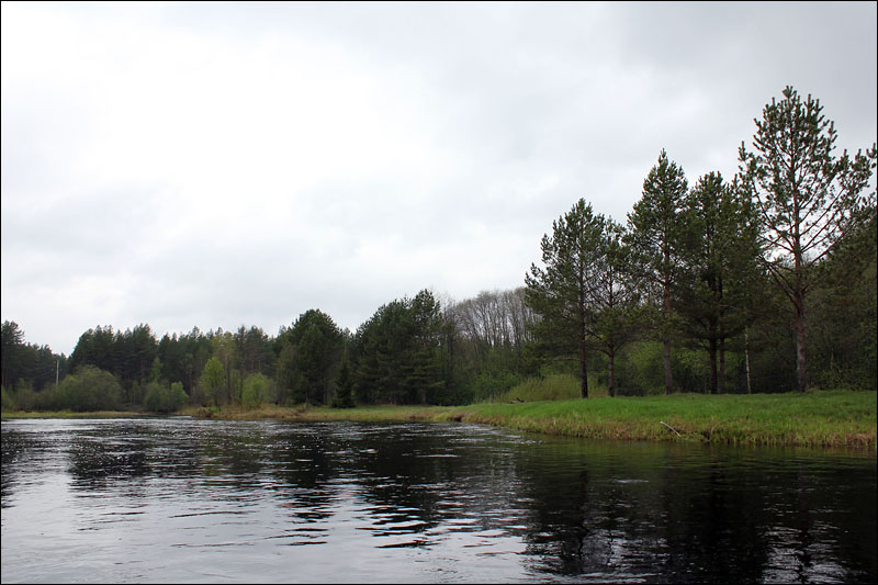 Погода село песь новгородской. Новгородская обл река Песь. Река Песь Вологодская область. Станция Песь.